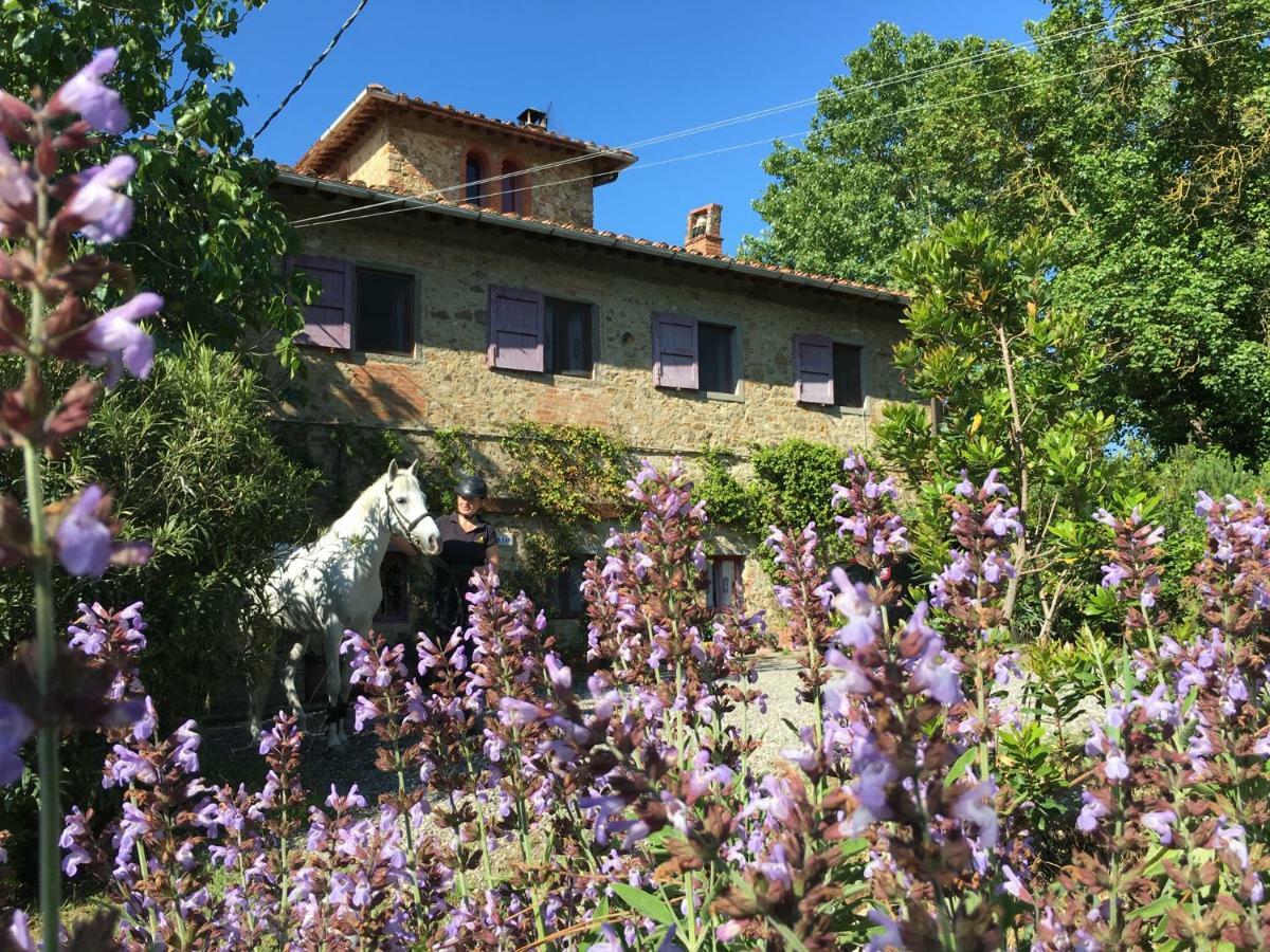 Bed and Breakfast Il Paretaio Barberino di Val dʼElsa Exterior foto