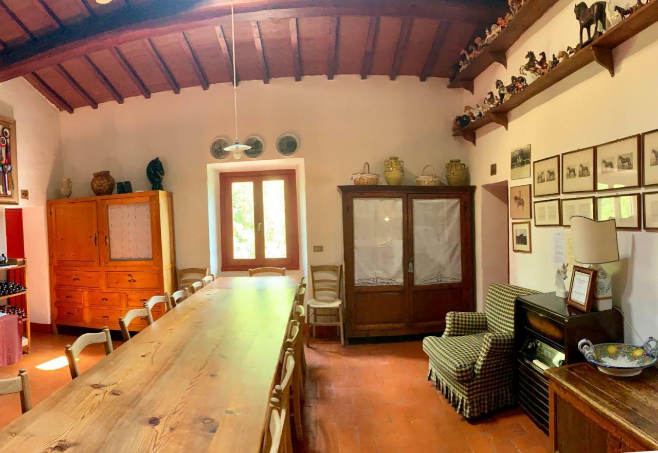 Bed and Breakfast Il Paretaio Barberino di Val dʼElsa Exterior foto